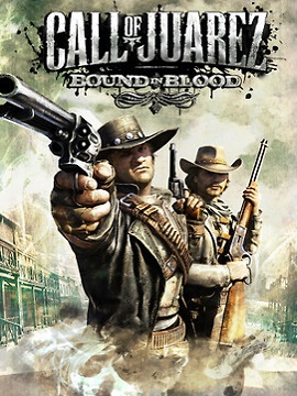 Call Of Juarez: Bound In Blood Steam CD Key