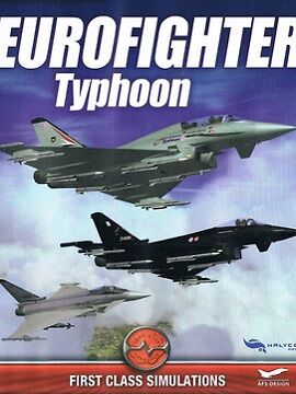 Eurofighter Typhoon Steam CD Key