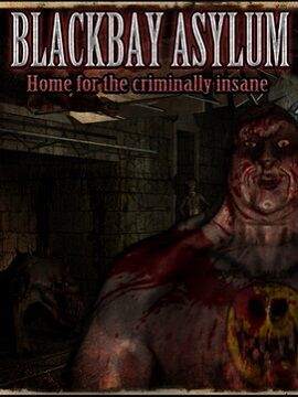 Blackbay Asylum Steam CD Key