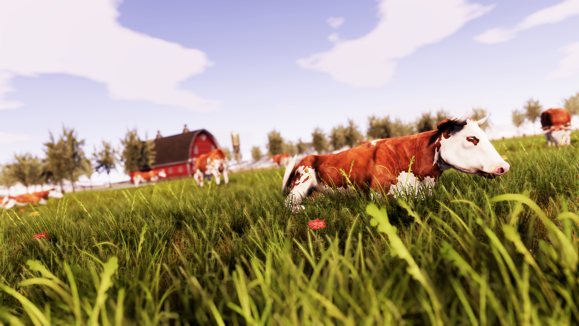 Real Farm Standard Edition Steam CD Key