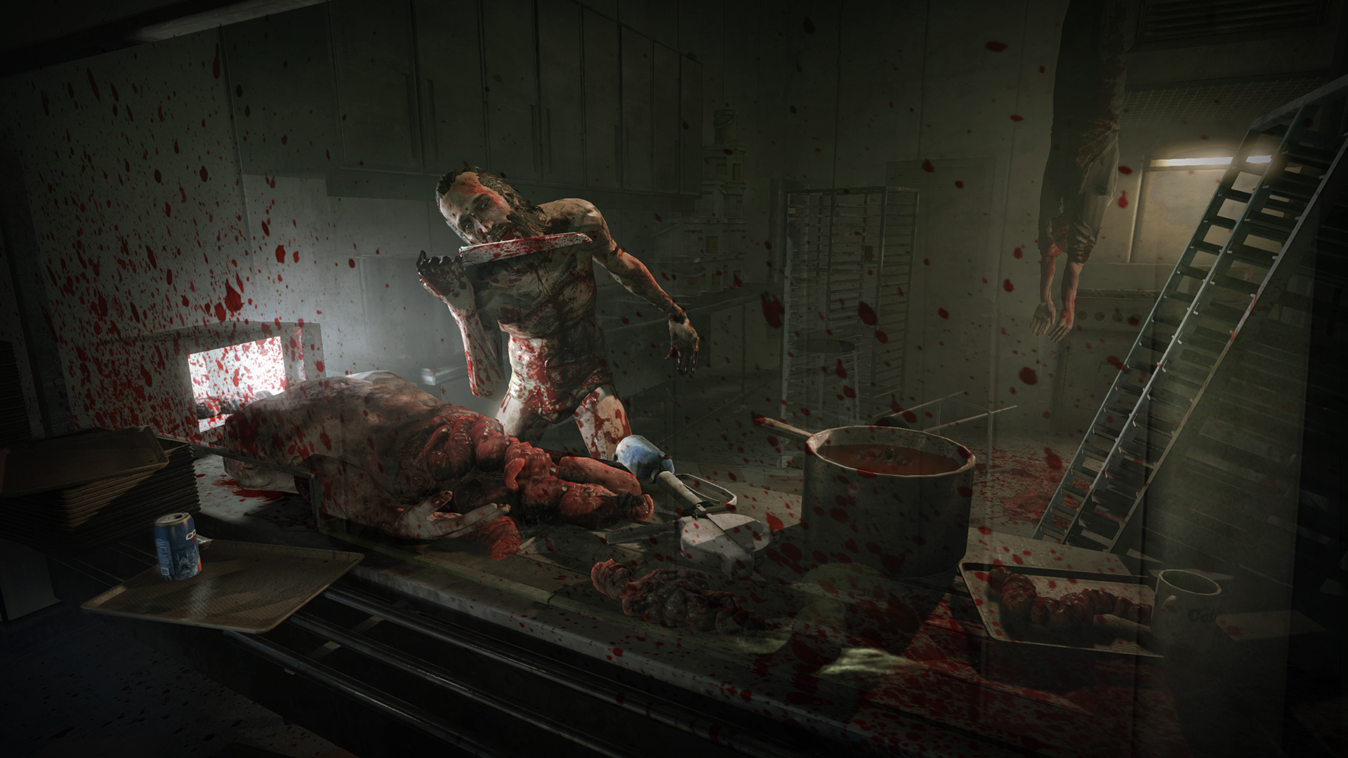 Outlast - Whistleblower Steam CD Key