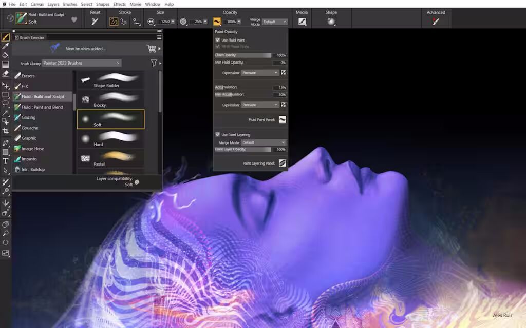 Corel Painter 2023 for Windows Perpetual / 1 PC Corel