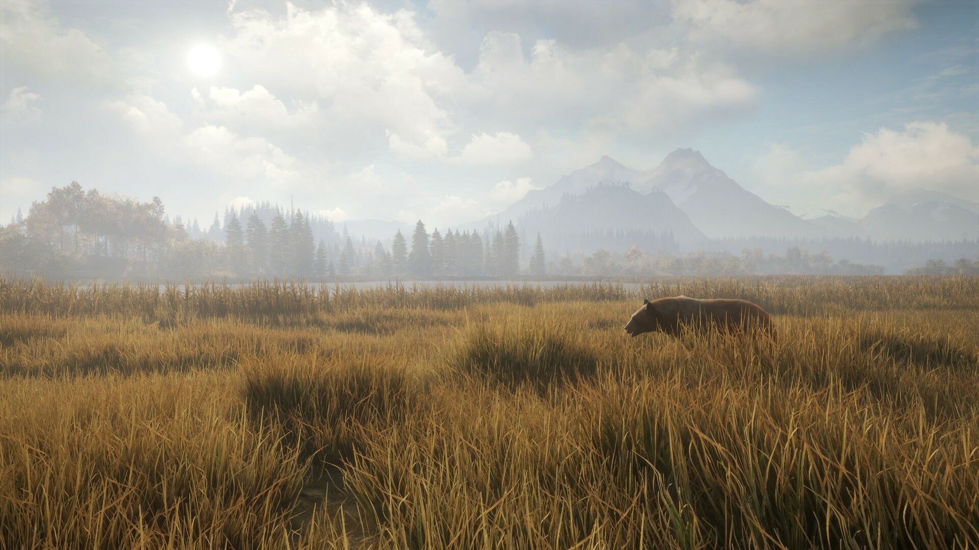 theHunter: Call of the Wild - Smoking Barrels Weapon Pack Steam CD Key Time Limited Activation