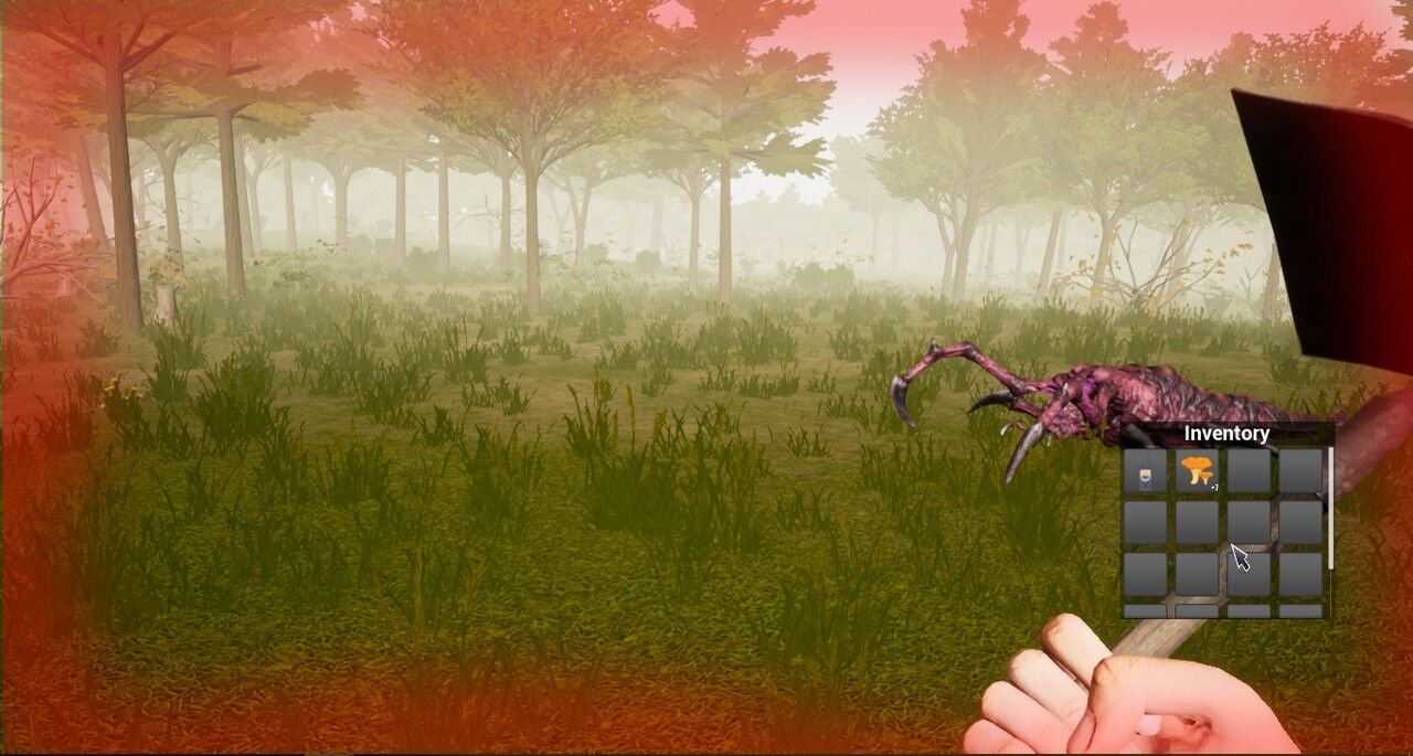 Forest Woodman