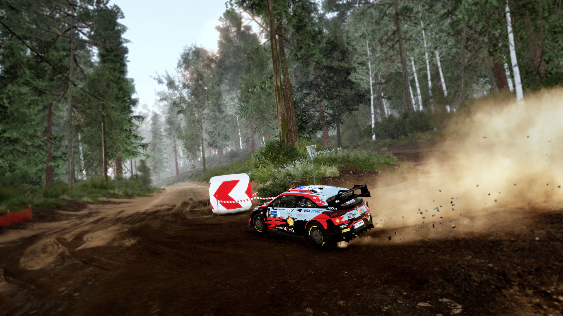 WRC 10: FIA World Rally Championship Europe XBOX One/Series X|S