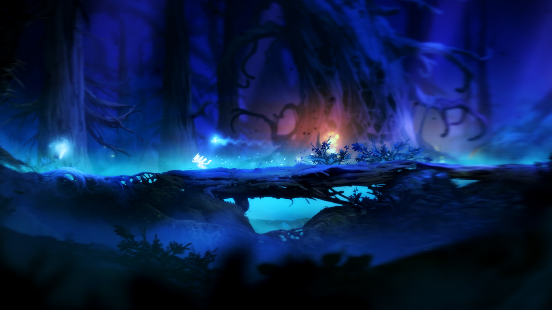 Ori And The Blind Forest Definitive Edition Steam CD Key