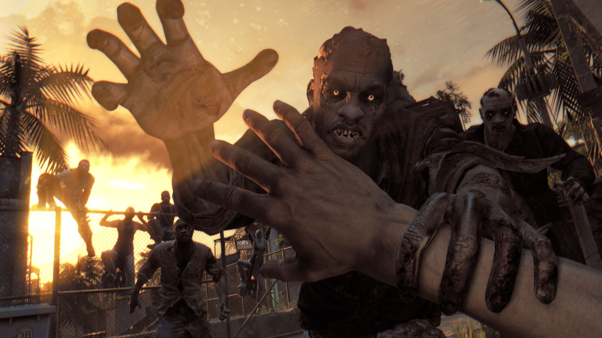 Dying Light: The Following Standard Edition Steam CD Key