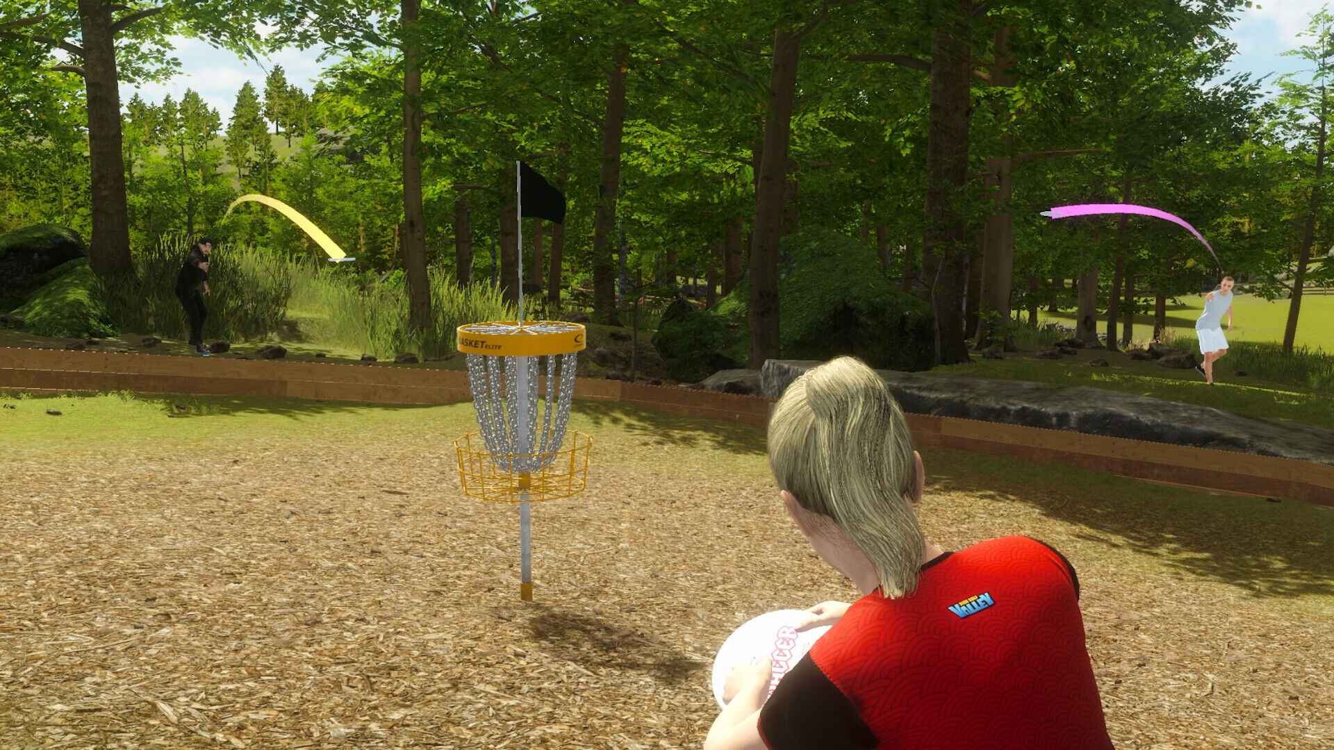 Disc Golf Masters