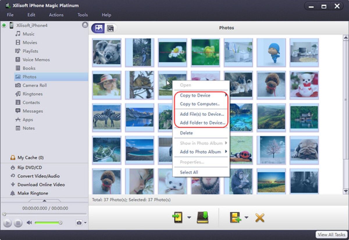 Xilisoft iPhone Magic Platinum Xilisoft