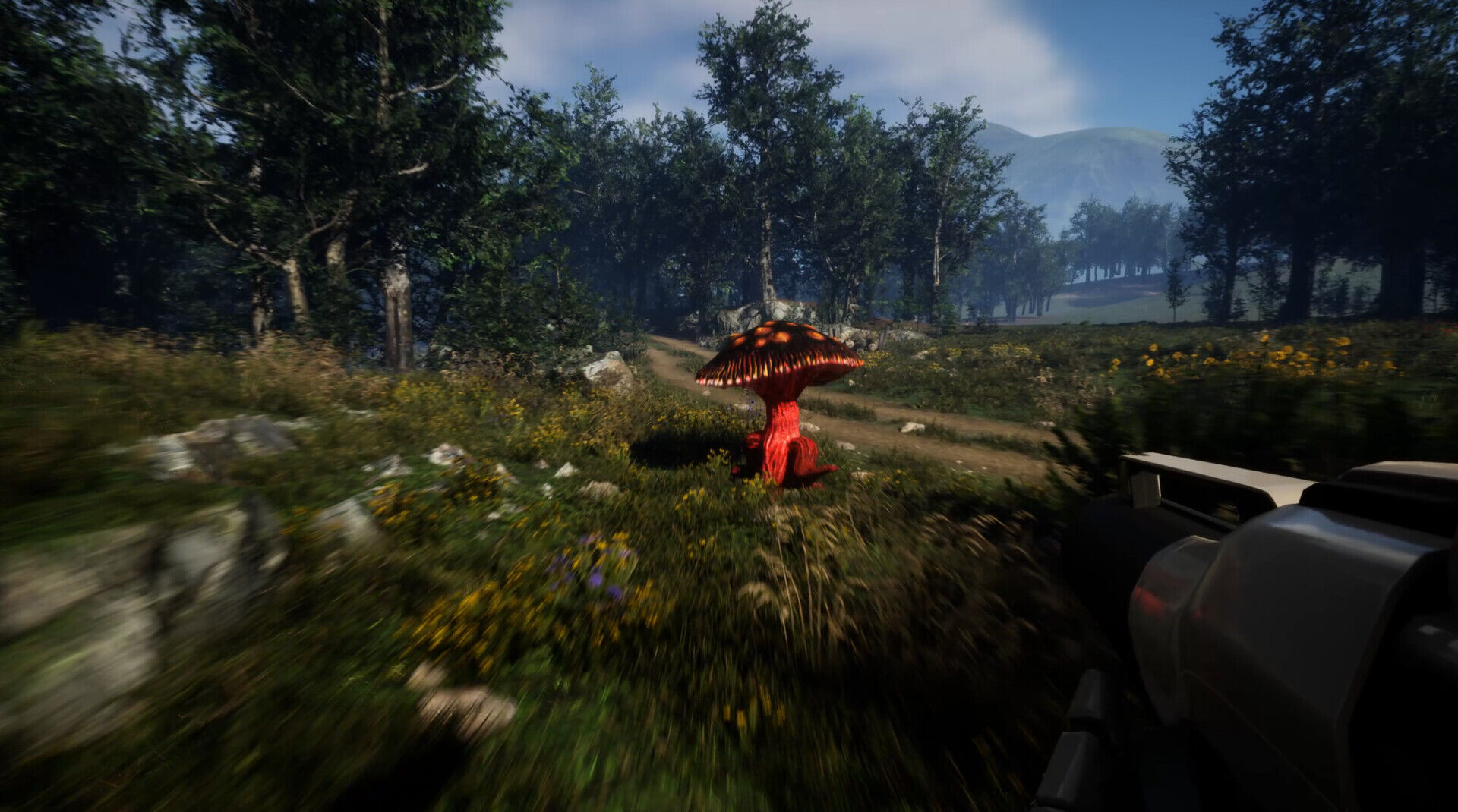 Forest Frenzy