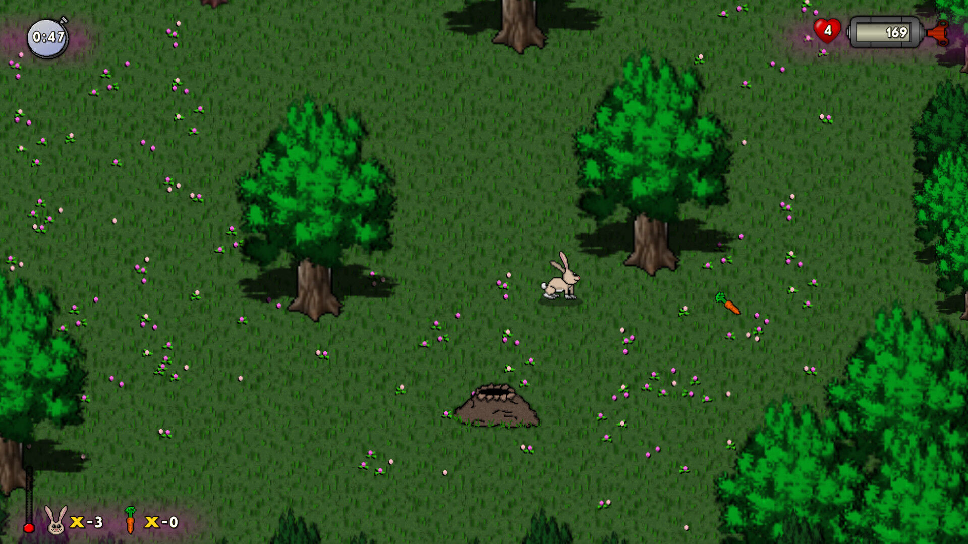 RUN HARE RUN