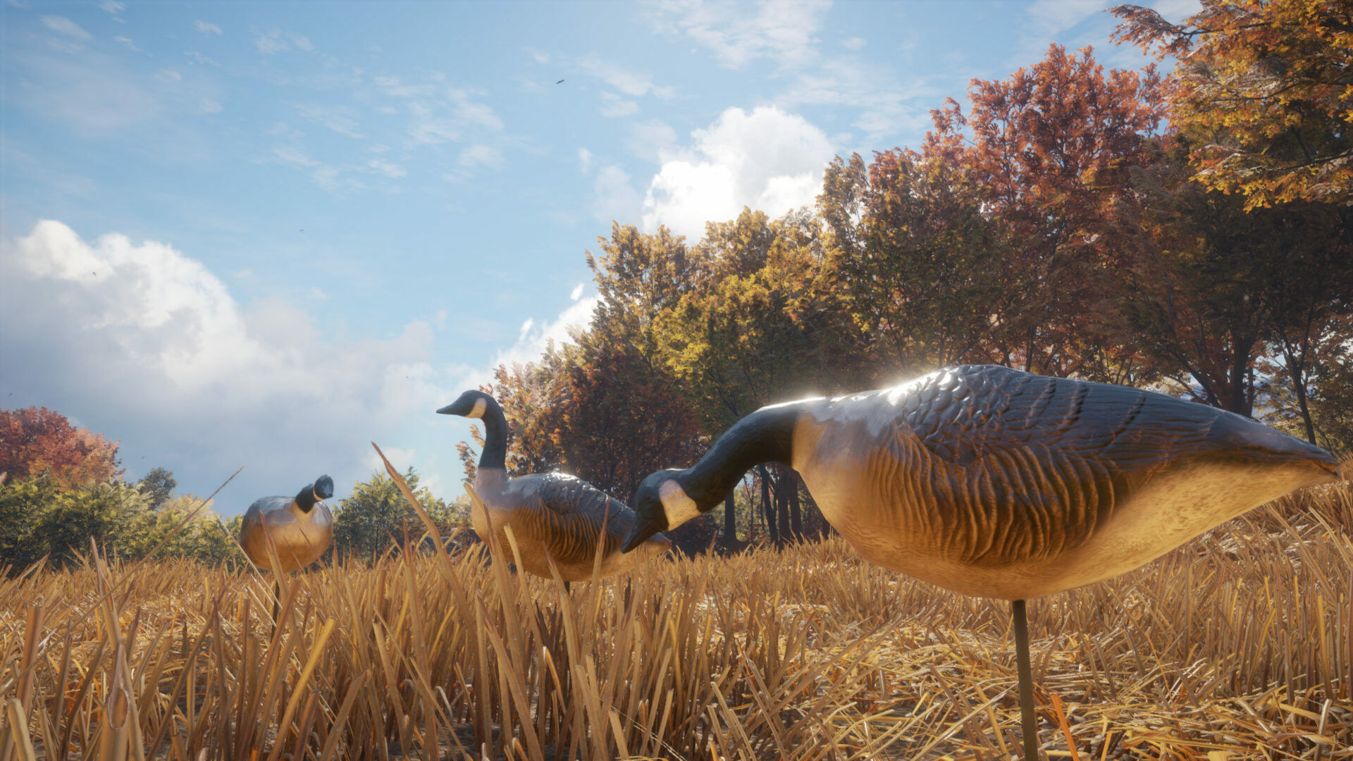 theHunter: Call of the Wild - Wild Goose Chase Gear Steam CD Key Time Limited Activation
