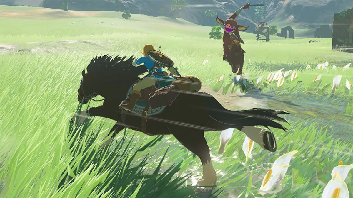 The Legend of Zelda: Breath of the Wild + the Wild Expansion Pass