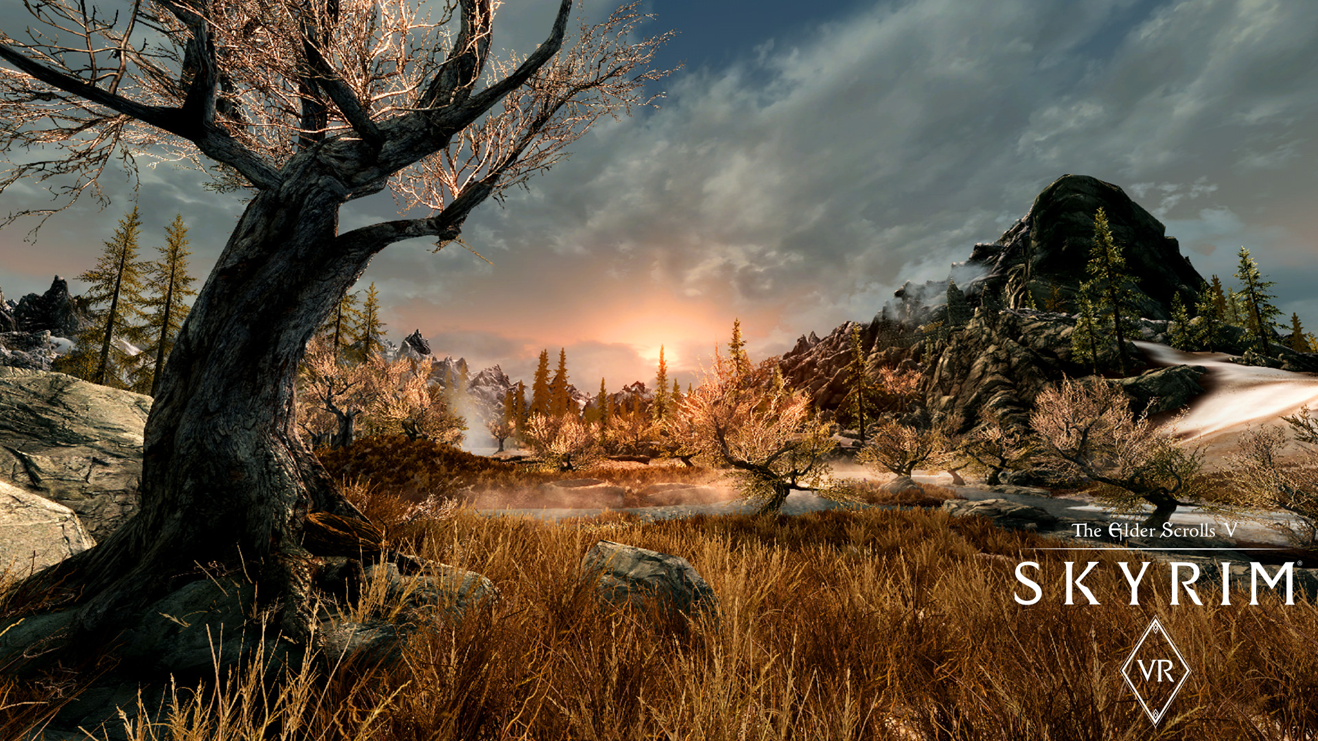 The Elder Scrolls V: Skyrim VR Steam CD Key