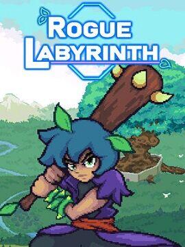 Rogue Labyrinth Steam Account