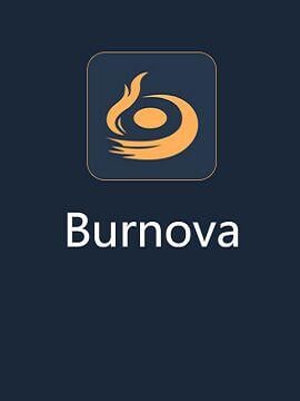 Aiseesoft Burnova 1 Year / 1 PC Aiseesoft CD Key