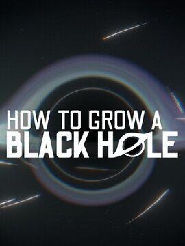 How To Grow a Black Hole Steam CD Key