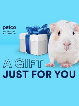 Petco Gift Card 100 USD United States Petco CD Key