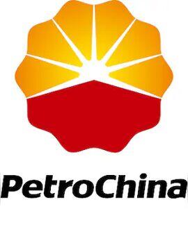 PetroChina Fuel Card 500 CNY China PetroChina CD Key