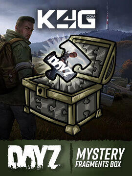 DayZ- Mystery Fragments Box