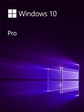 Microsoft Windows 10 Pro OEM Microsoft CD Key