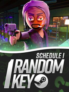 Try To Get Schedule I: Random 1 Steam Key