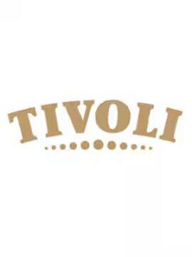 Tivoli Gift Card 500 DKK Denmark Tivoli CD Key