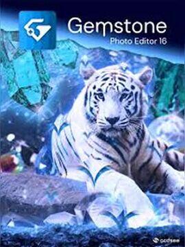 ACDSee Gemstone Photo Editor 16  6 Months / 1 Device ACDSee CD Key