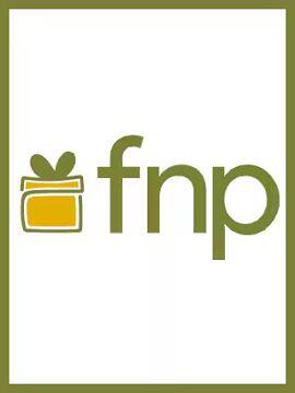 Ferns N Petals Gift Card 500 INR India fnp CD Key