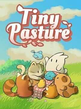 Tiny Pasture Steam Account