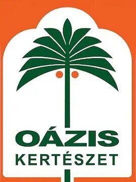 OAZIS Gift Card 5000 HUF Hungary Oazis CD Key
