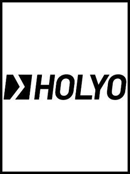 Holyocard Gift Card 100 RON Romania Holyocard CD Key
