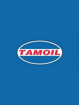 Tamoil Fuel Gift Card 25 EUR Italy Tamoil Fuel CD Key