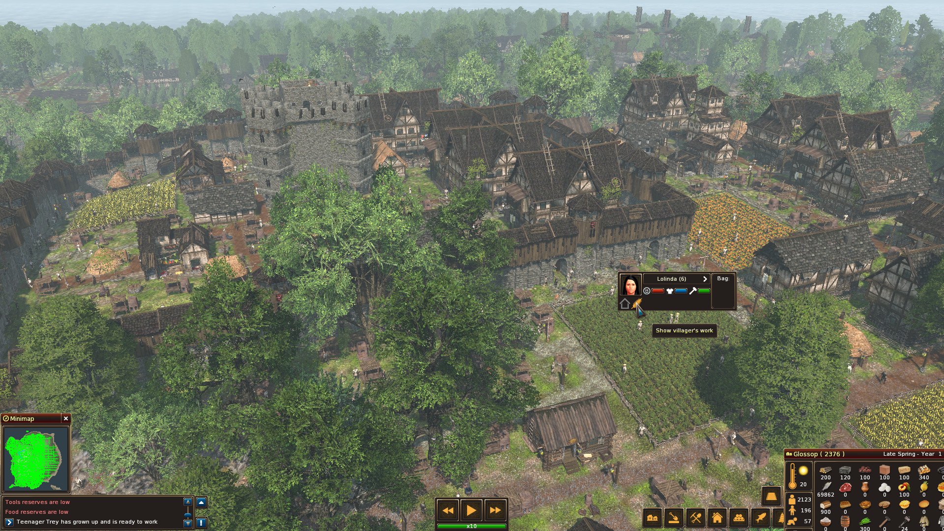 Life Is Feudal: Forest Village Steam CD Key