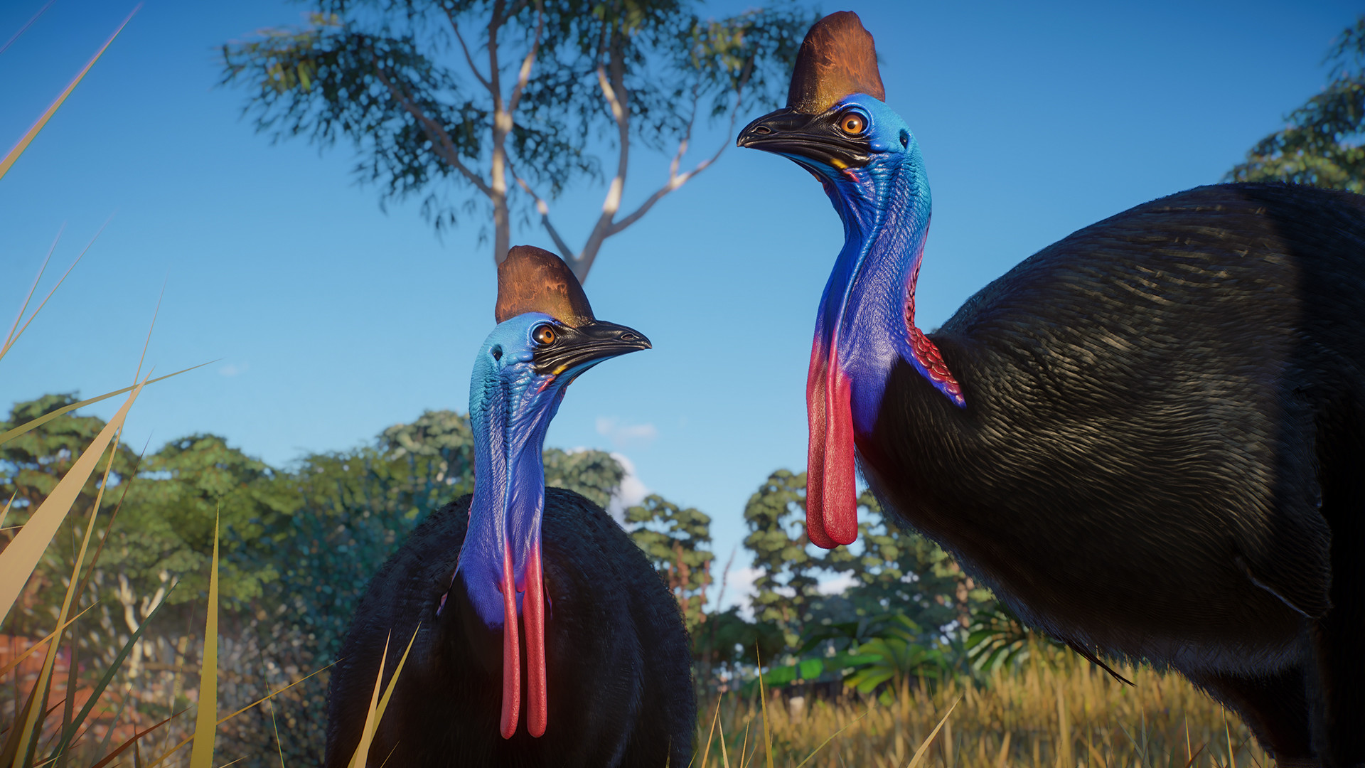 Planet Zoo: Australia Pack Europe Steam CD Key