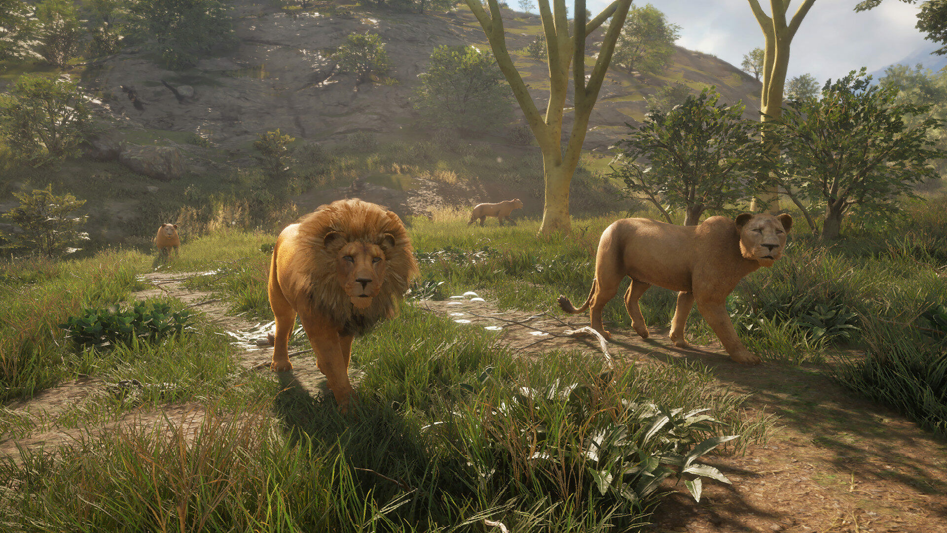 theHunter: Call of the Wild - Vurhonga Savanna Europe Steam Time Limited Activation