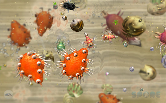 Spore