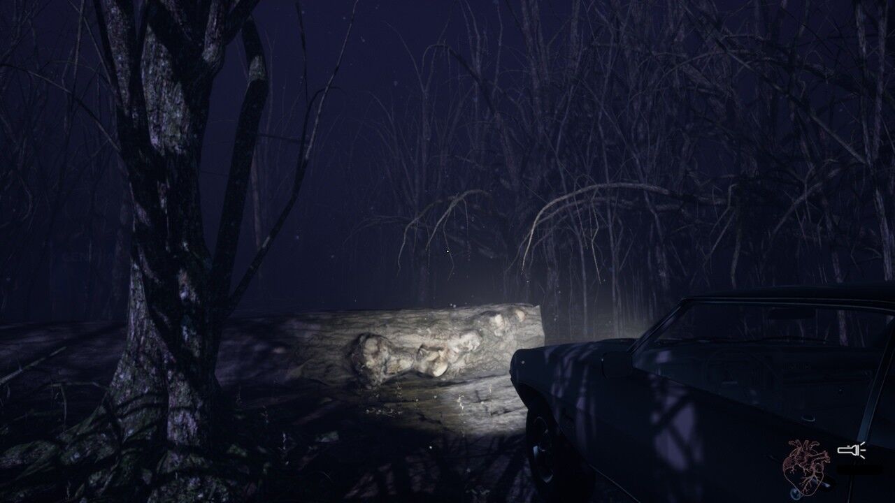 CENTRALIA