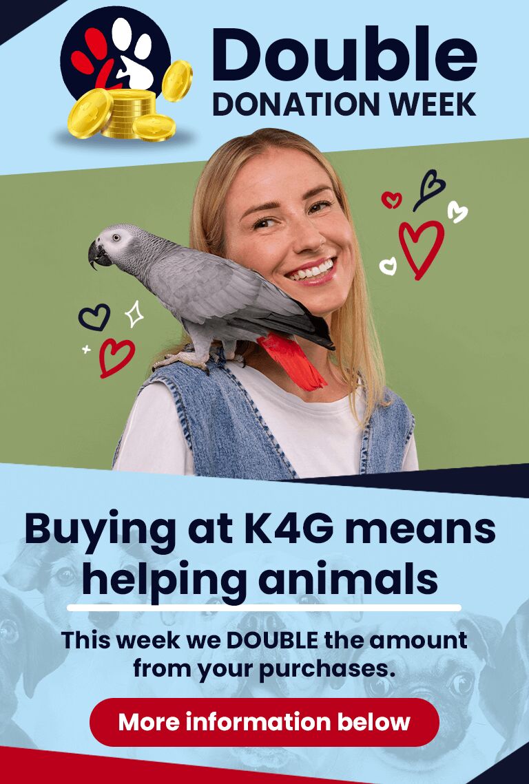 Games - Search: Typical | K4G.com
